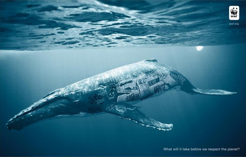 WWF - What will it take before we respect the planet (1).